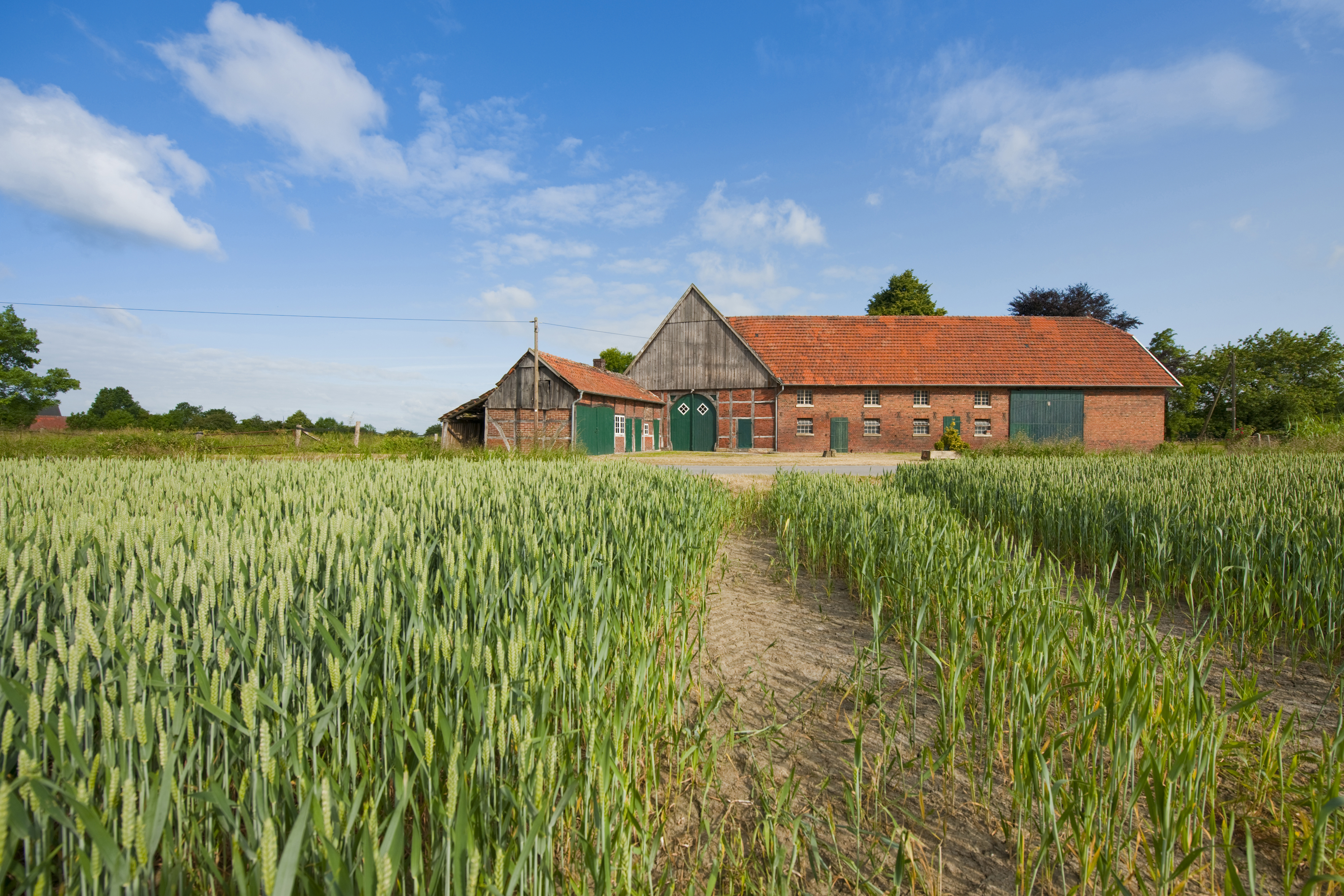 Bauernhöfe im Münsterland
